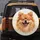Fluffy Pomeranian Dog Winking Smile - Pet Owner Gift Spare Tire Cover - 5
