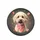Fluffy Poodle Dog Head Pink Bandana Peaches Strawberries Foliage - Dog Lover Gift Spare Tire Cover - 4