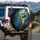 Blue and Yellow Macaw Tropical Jungle - Wildlife Lover Gift for Bird Watchers Spare Tire Cover - 3