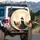 Lone Warrior Horse Rocky Pinnacle Desert Canyon - Western Adventure Road Trip Spare Tire Cover - 3