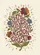 'Hate Never Made Any Nation Great' Floral Vine Starbursts Home Decor Gift Garden Flag - 6
