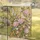 Songbirds Peonies Cherry Blossoms Gnarled Branches - Home Decor Gift for Bird Lover Garden Flag - 5