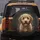 Light Brown Fluffy Goldendoodle Puppy Charcoal Background - Dog Lover Gift for Pet Owners Spare Tire Cover - 5