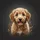 Light Brown Fluffy Goldendoodle Puppy Charcoal Background - Dog Lover Gift for Pet Owners Spare Tire Cover - 6