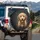 Light Brown Fluffy Goldendoodle Puppy Charcoal Background - Dog Lover Gift for Pet Owners Spare Tire Cover - 3