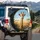 Majestic Giraffe African Savanna - Wildlife Lover Gift for Giraffe Lover Spare Tire Cover - 3