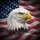 Bald Eagle American Flag - Independence Day Gift for Veterans Spare Tire Cover - 6