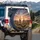 Saguaro Cacti Sonoran Desert Sunset Wildflowers - Nature Lover Home Decor Gift Spare Tire Cover - 3
