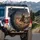 Galloping Cowboy Horse Dog Lasso Dusty Desert Mesas - Rugged Western Lifestyle Decor Gift Spare Tire Cover - 3