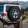 Black White Husky Dog Piercing Blue Eyes Alert Gaze - Dog Lover Gift Spare Tire Cover - 3