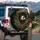 European Badger Peeking Burrow Forest - Wildlife Lover Gift Spare Tire Cover - 3