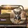 Tri-Color Chihuahua Dog Alert Expression - Dog Lover Gift Spare Tire Cover - 2