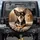 Tri-Color Chihuahua Dog Alert Expression - Dog Lover Gift Spare Tire Cover - 1
