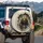 Powerful Grizzly Bear Breaking Through Jagged Rock Cave - Wildlife Lover Gift for Animal Lovers Spare Tire Cover - 3