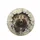 Powerful Grizzly Bear Breaking Through Jagged Rock Cave - Wildlife Lover Gift for Animal Lovers Spare Tire Cover - 4