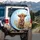 Highland Calf Rainbow Bow Wildflower Meadow Farmhouse Home Decor Gift for Cow Lover Spare Tire Cover - 3