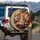 Leopard Pink Roses Garden - Wildlife Lover Home Decor Gift Spare Tire Cover - 3