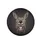 Comically Expressive Grinning Donkey Face - Farmhouse Decor Gift for Wildlife Lovers Spare Tire Cover - 4