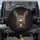 Comically Expressive Grinning Donkey Face - Farmhouse Decor Gift for Wildlife Lovers Spare Tire Cover - 1