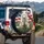 White Wolf Cubs American Flag Wildflowers - Wildlife Lover Gift Spare Tire Cover - 3