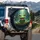 Green Frog Pink Tongue Lily Pad Forest Pond - Wildlife Lover Gift Spare Tire Cover - 3
