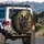 Diverse German Shepherds Outdoor Forest Foliage Light Flares - Dog Lover Gift Spare Tire Cover - 3