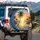 Palm Tree Ocean Sunset Beach Islands - Travel Essentials Gift for Beach Lover Spare Tire Cover - 3