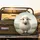 Fluffy Cartoon Sheep Pastoral Landscape - Farmhouse Home Decor Gift Spare Tire Cover - 2