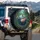Globe Apple Tree Leaves Water Droplets - Nature Lover Home Decor Gift Spare Tire Cover - 3