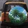 Tropical Palm Trees Clear Sky Clouds - Vacation Essentials Nature Lover Spare Tire Cover - 5