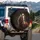 Brown Horse White Blaze Bridle - Equestrian Home Decor Gift for Horse Lover Spare Tire Cover - 3