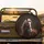 Brown Horse White Blaze Bridle - Equestrian Home Decor Gift for Horse Lover Spare Tire Cover - 2