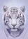 duiyfppz/products/6a3362195a64c15cbed4c2ed/gallery/w7MGVNrtHJ