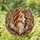 duiyfppz/products/6a3364f5575ec54ec0a70d03/gallery/Sb0luRW6qQ
