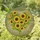 duiyfppz/products/6a3366b05768fcf946090dea/gallery/Ac1DVurflP