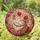 duiyfppz/products/6a33676b5768fc2125091017/gallery/AadW8cr1gD
