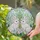 duiyfppz/products/6a33679ee2ca43018e3d7230/gallery/xeYGMjbuh9