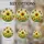 duiyfppz/products/6a336a1b5768fc4724091496/gallery/VhcdfdEi1C