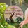 duiyfppz/products/6a336b08575ec524b2a71a69/gallery/-9x2nZniPW