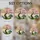 duiyfppz/products/6a336b08575ec524b2a71a69/gallery/1mhyBcY7xD