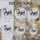 duiyfppz/products/6a336b9530b9e6748d044cef/gallery/FFs0f0LJeU