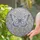 duiyfppz/products/6a337090575ec54cdfa72b43/gallery/nm-zur1V6e