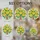 duiyfppz/products/6a33722ae2ca43c64f3d8f39/gallery/FbvjZhZw0G