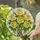 duiyfppz/products/6a33722ae2ca43c64f3d8f39/gallery/_fQBVypjn-
