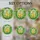 duiyfppz/products/6a3372715a64c151ffd4e816/gallery/EyJEEV5-5W