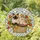 duiyfppz/products/6a3374c230b9e6f793045710/gallery/nvGyjLc8DS