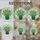 duiyfppz/products/6a3374fc575ec5e354a730b6/gallery/0dxxkJGhQE