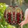 duiyfppz/products/6a337745e2ca4379873d9a04/gallery/b7Nn9ddmgN