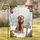 duiyfppz/products/6a33a5e25768fc8a1f0aae4f/gallery/xMfhQHUwlz