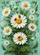 duiyfppz/products/6a33b2c715acc0748e03b00c/gallery/VS5l0DGW0q